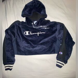 Blue suede champion crop hoodie